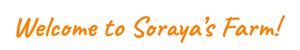 I’m Soraya an Urban Farmer